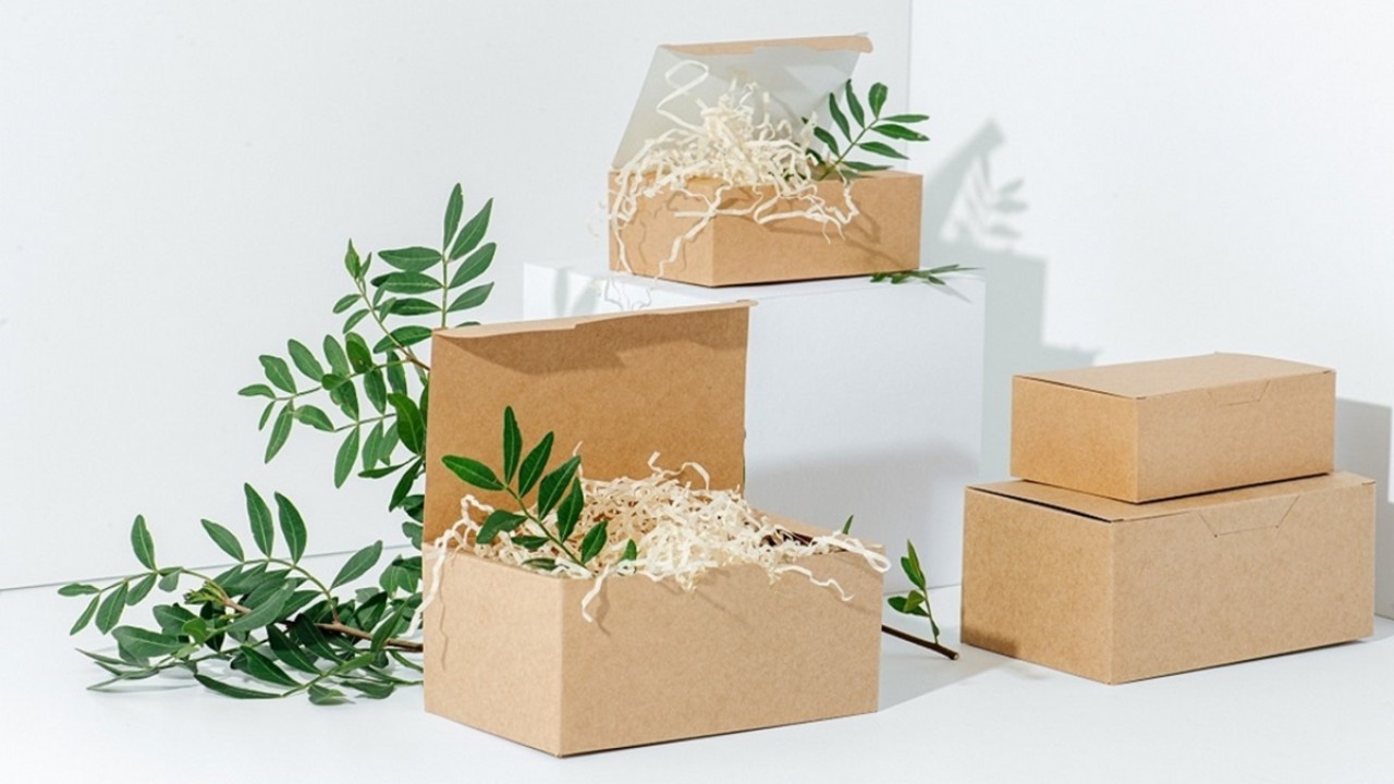 Biodegradable Packaging: The Sustainable Packaging ... Image 1